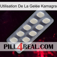 Utilisation De La Gelée Kamagra 08